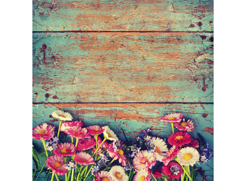 Obraz MARGHERITE G1088 PINTDECOR