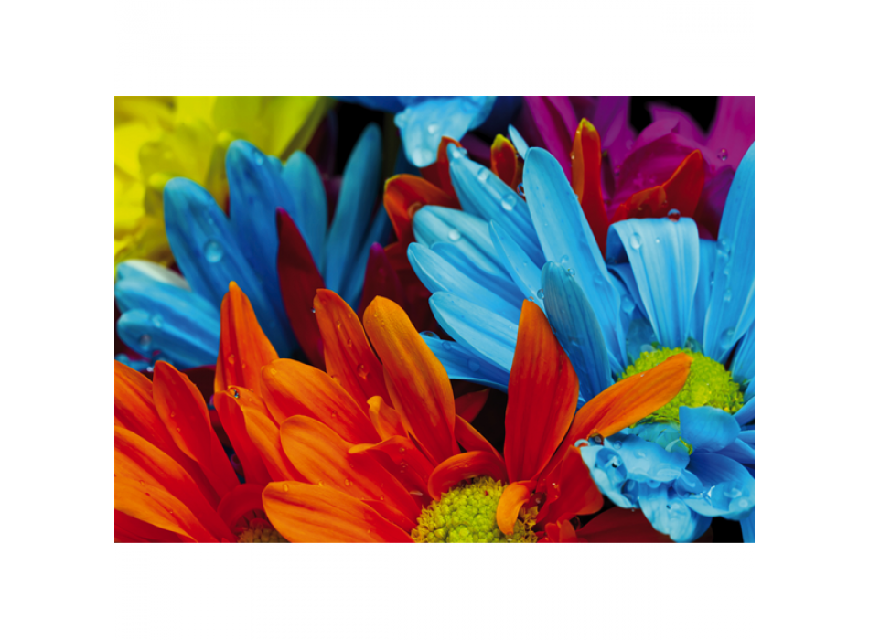 Obrázek COLORFUL DECK G1934 PINTDECOR