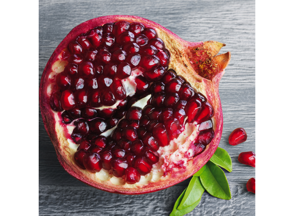 Obraz GRANÁTOVÉHO JABLKA G1872 PINTDECOR