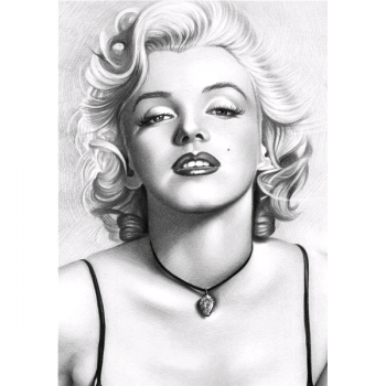 MONROE G5632 PINTDECOR Malba