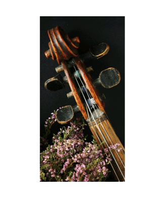 KVĚTINOVÉ NOTÉ G4040 PINTDECOR Obraz