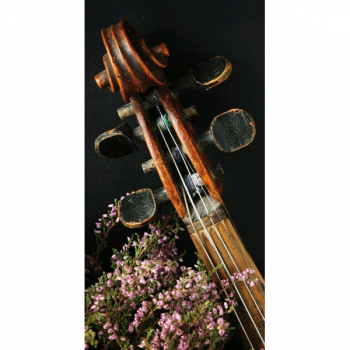 KVĚTINOVÉ NOTÉ G4040 PINTDECOR Obraz