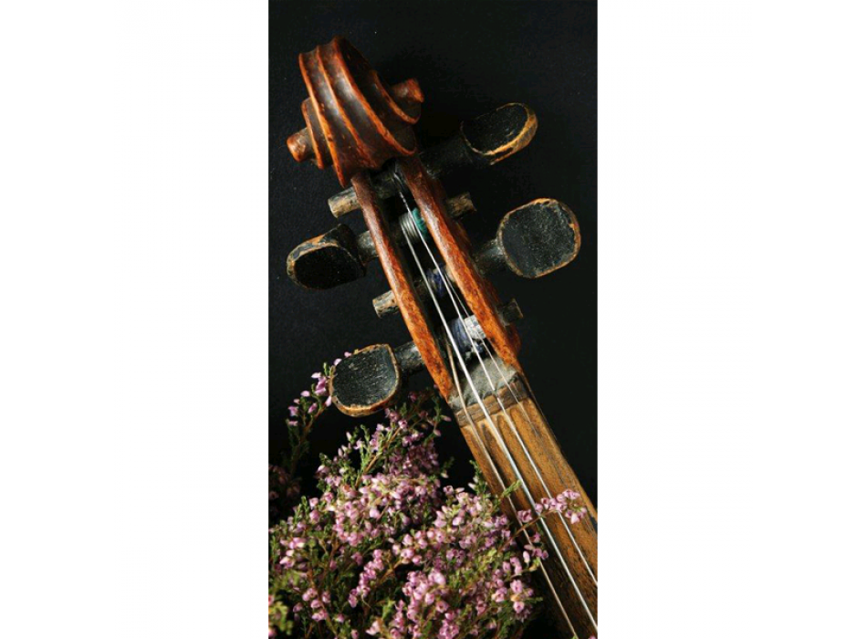 KVĚTINOVÉ NOTÉ G4040 PINTDECOR Obraz