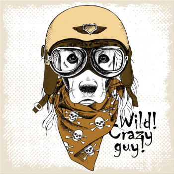 NUVOLARI G3378 PINTDECOR Lakování