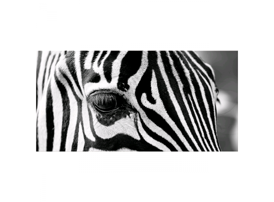 Obraz ZEBRA EYE G5948 PINTDECOR
