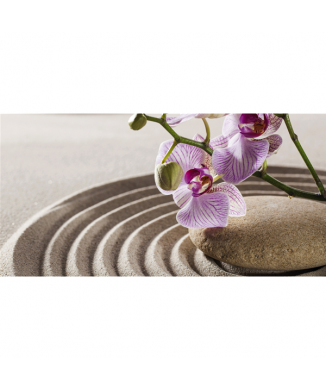 ORCHIDEA ZEN obraz G2258 PINTDECOR