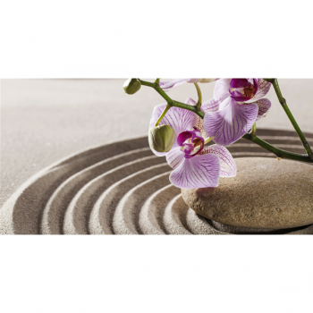 ORCHIDEA ZEN obraz G2258 PINTDECOR