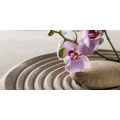 ORCHIDEA ZEN obraz G2258 PINTDECOR