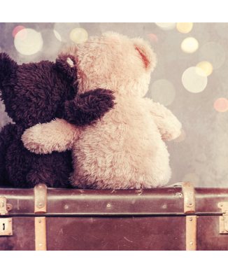 Obraz TRAVELING BEARS G1604 PINTDECOR