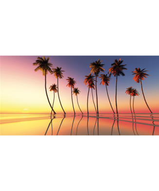 Obraz PALMY G1218 PINTDECOR