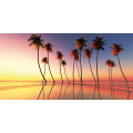 Obraz PALMY G1218 PINTDECOR