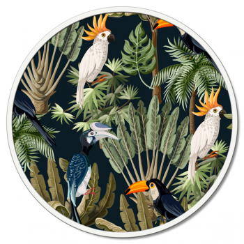 Obraz PARROTS GT6260 PINTDECOR