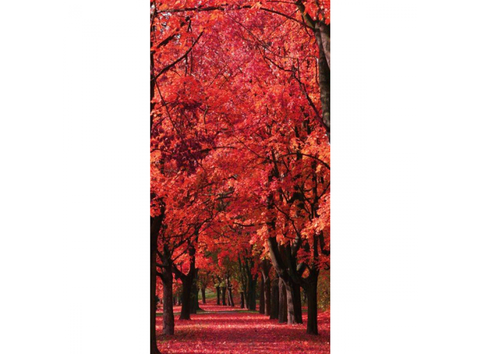 PODZIMNÍ PROCHÁZKA G4122 PINTDECOR