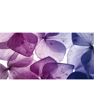 PETALI G1142 PINTDECOR obraz