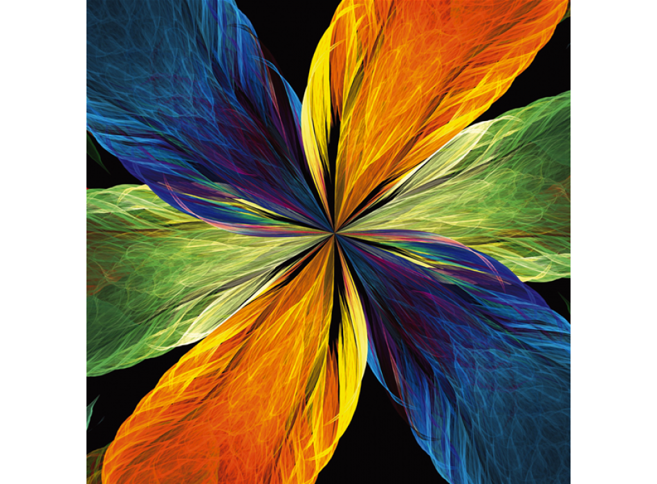 Obraz PEŘÍ G2222 PINTDECOR