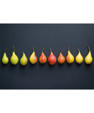 Malba POIRES G2694 PINTDECOR