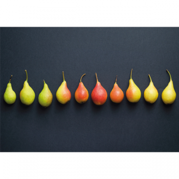 Malba POIRES G2694 PINTDECOR