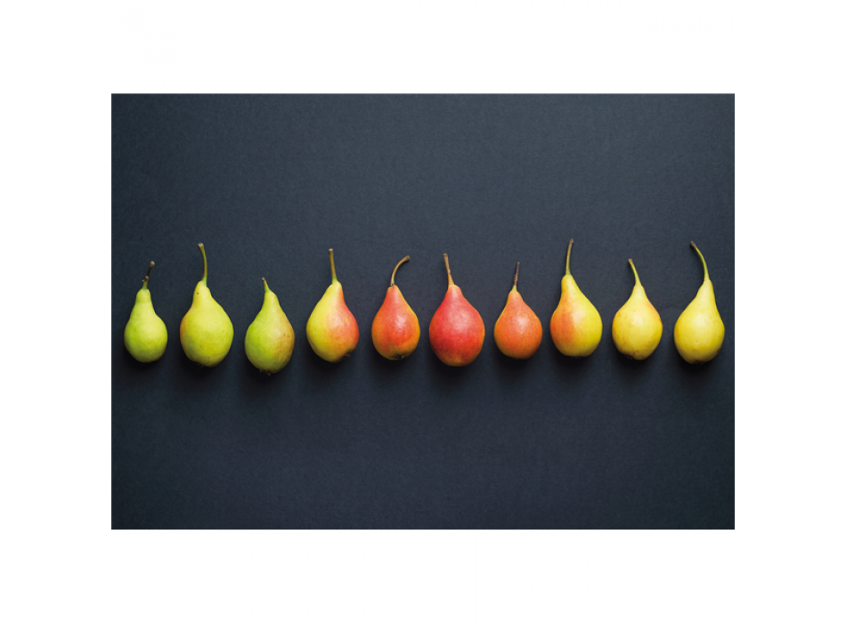 Malba POIRES G2694 PINTDECOR