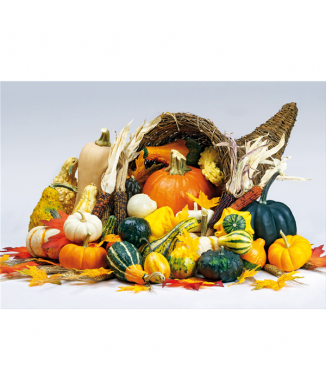 Obraz Lucky Charm G2686 PINTDECOR