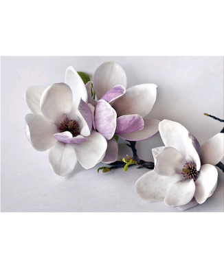 Obraz RAMETTO G5256 PINTDECOR