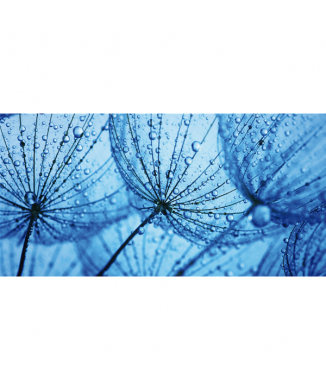 RUGIADA G1900 PINTDECOR obraz