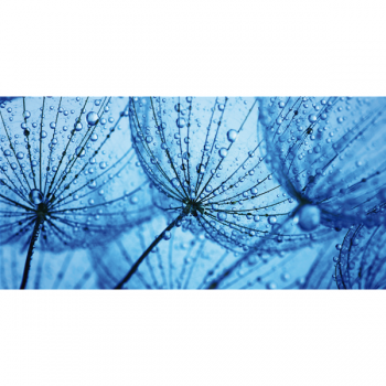 RUGIADA G1900 PINTDECOR obraz