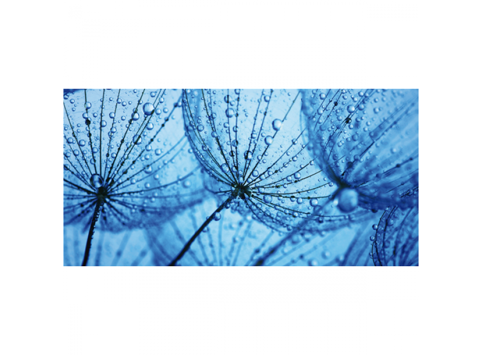 RUGIADA G1900 PINTDECOR obraz