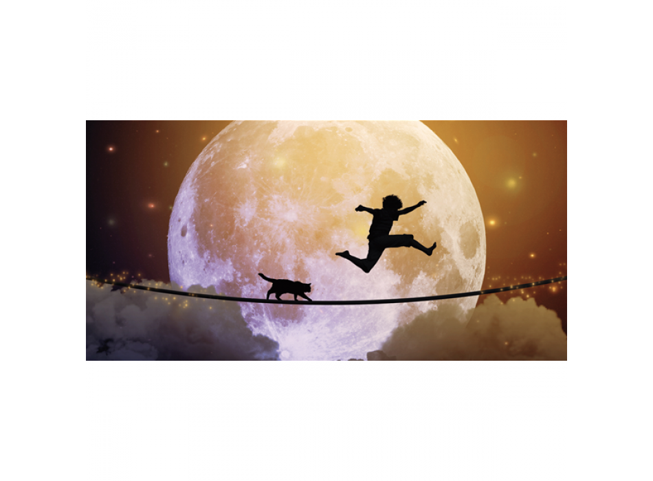 Obraz SKÁKÁNÍ NA MĚSÍCI G2238 PINTDECOR