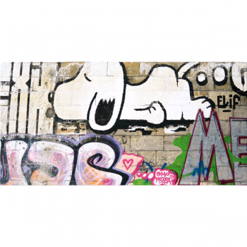 Obraz SNOOPY G5454 PINTDECOR