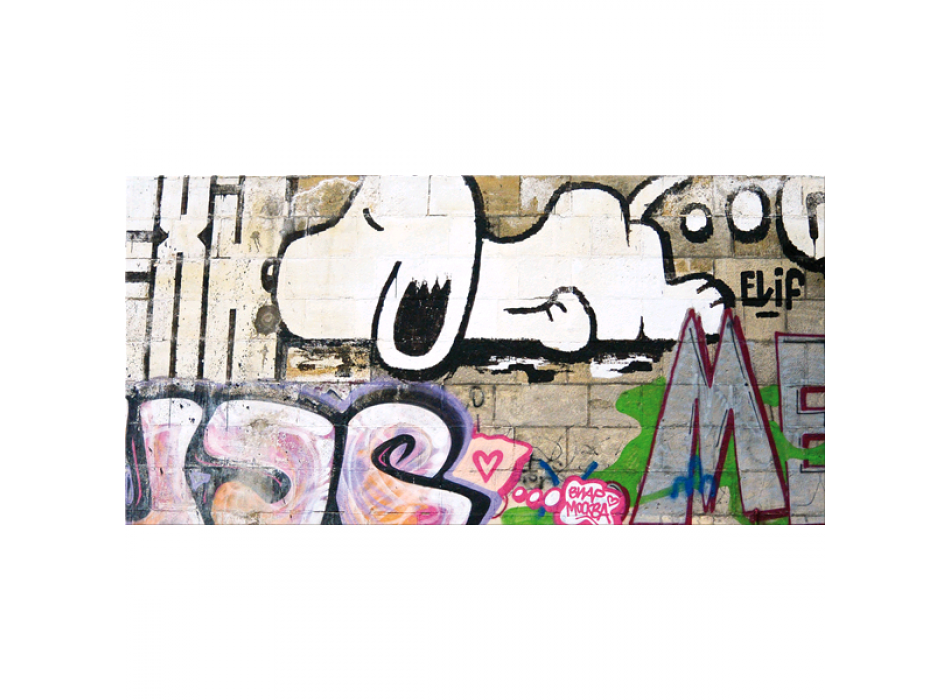 Obraz SNOOPY G5454 PINTDECOR