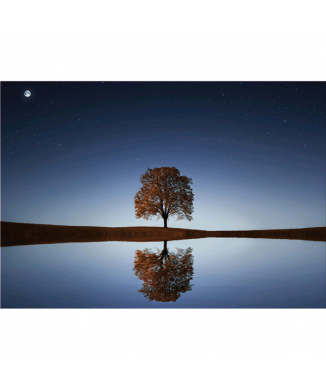 Zrcadlový obraz G5306 PINTDECOR