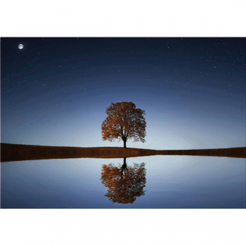 Zrcadlový obraz G5306 PINTDECOR