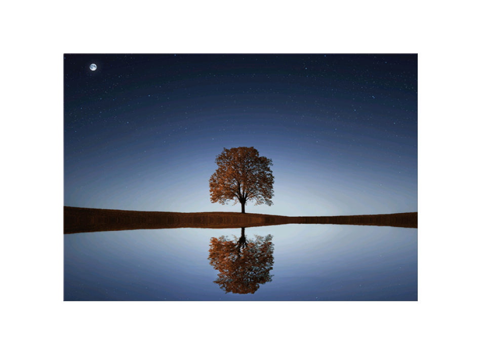 Zrcadlový obraz G5306 PINTDECOR