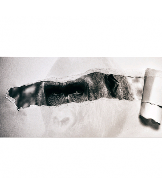 PÁSKOVÁNÍ G5928 PINTDECOR malba