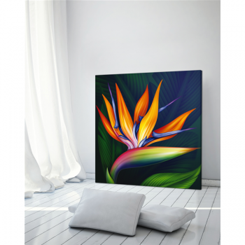 Obraz STRELITZIA G1114 PINTDECOR