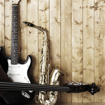 HUDEBNÍ NÁSTROJE G1506 PINTDECOR obraz