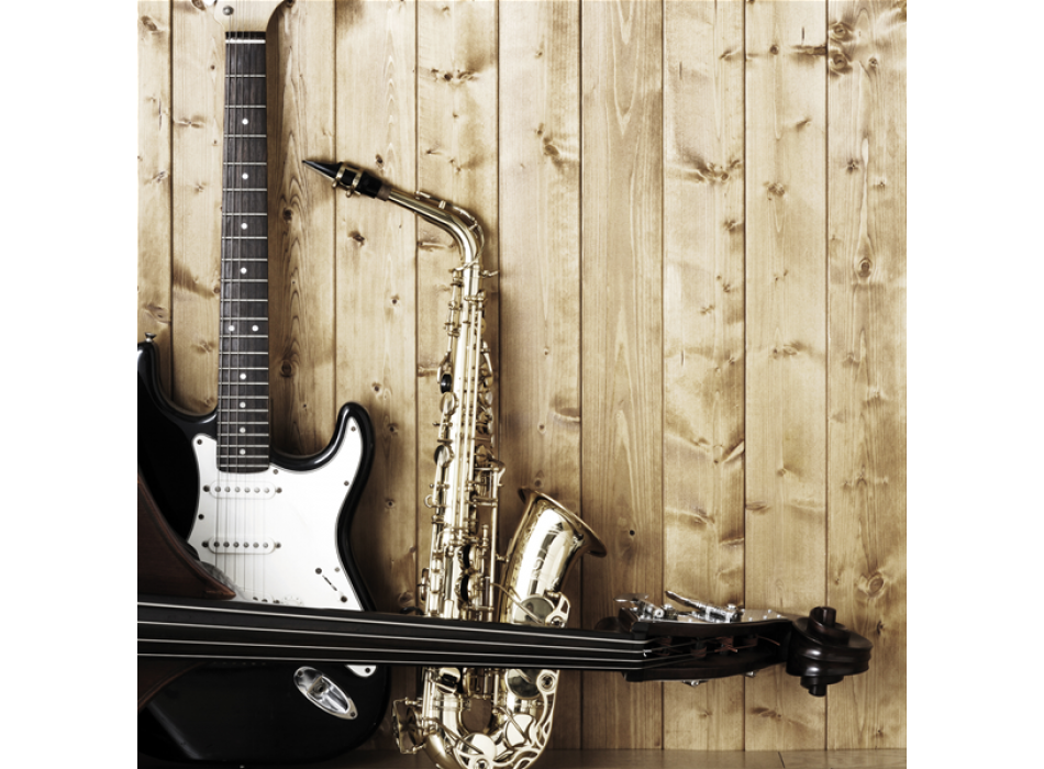 HUDEBNÍ NÁSTROJE G1506 PINTDECOR obraz