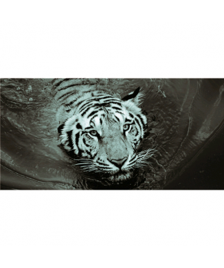 Obraz TYGR G5952 PINTDECOR