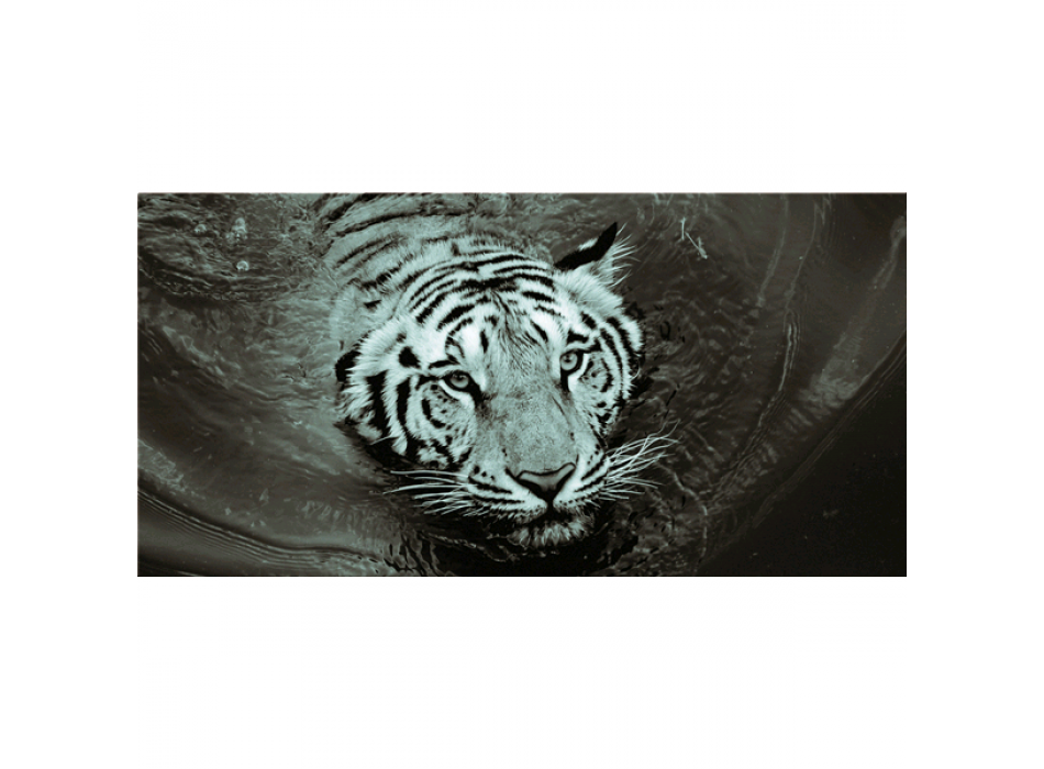 Obraz TYGR G5952 PINTDECOR