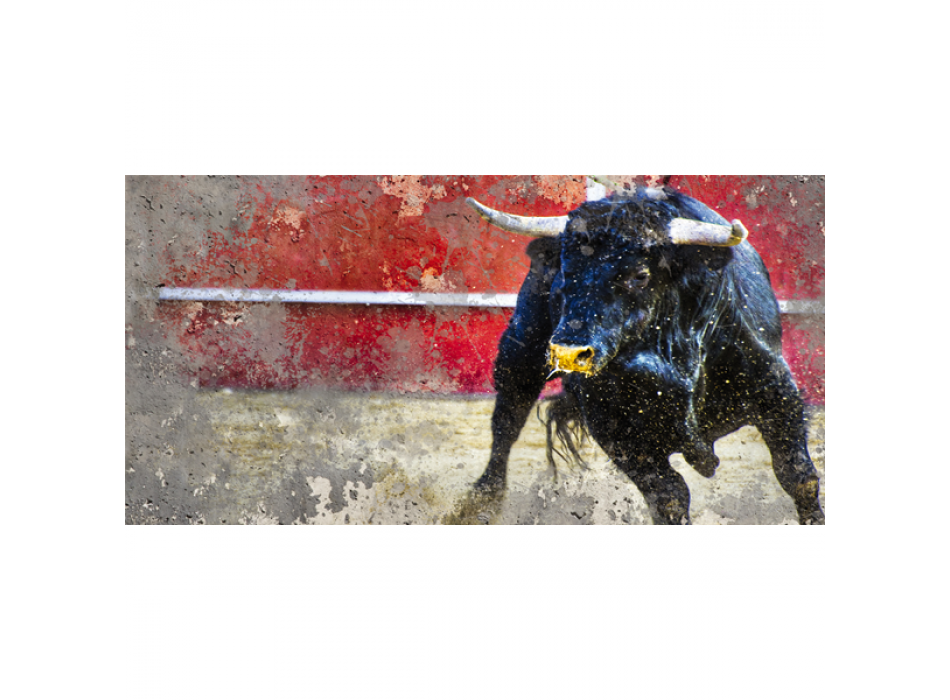 Obraz BÝK V ARÉNĚ G2236 PINTDECOR