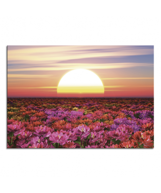 Obraz ZÁPAD SLUNCE MEZI KVĚTINAMI G6978 PINTDECOR