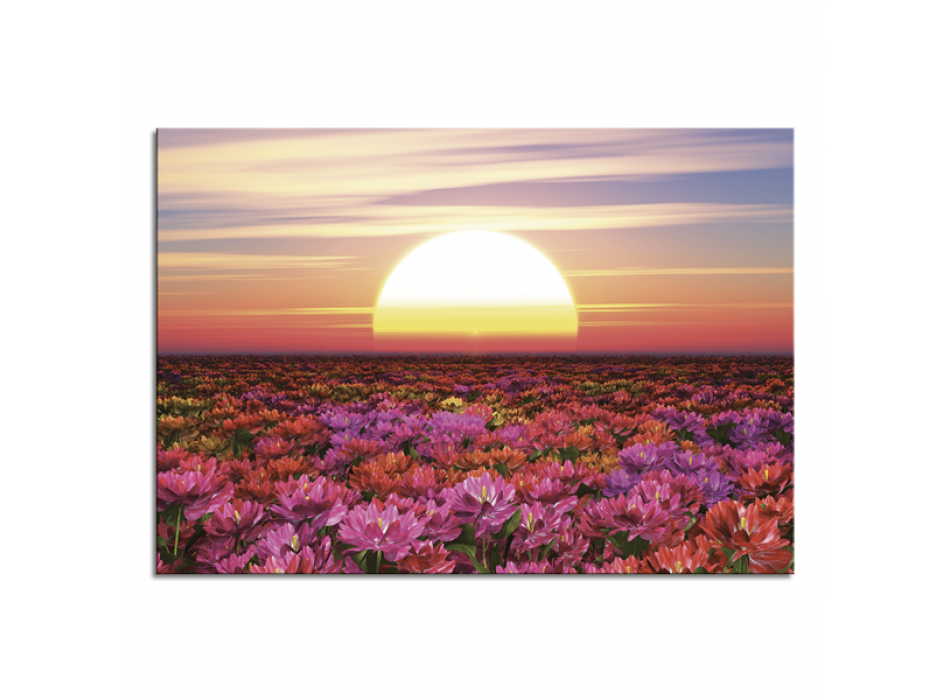 Obraz ZÁPAD SLUNCE MEZI KVĚTINAMI G6978 PINTDECOR