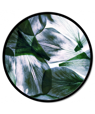 PRŮHLEDNOST LISTŮ GT6194 PINTDECOR