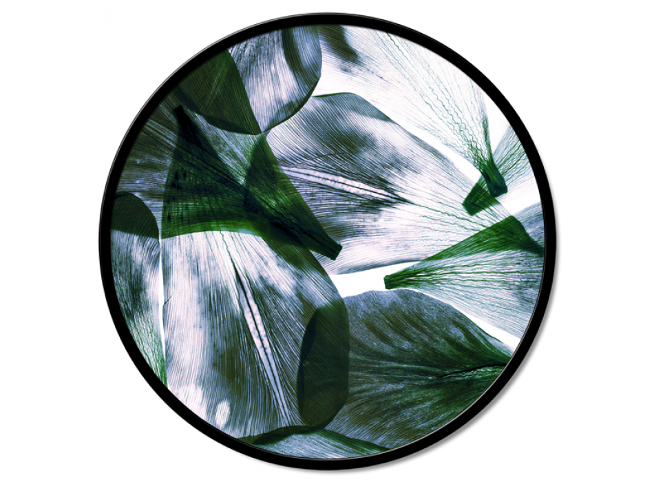 PRŮHLEDNOST LISTŮ GT6194 PINTDECOR