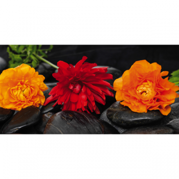 Obraz TŘI KVĚTY NA ČERNÝCH KAMENECH G1924 PINTDECOR