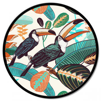 TUCANI GT6248 PINTDECOR malba