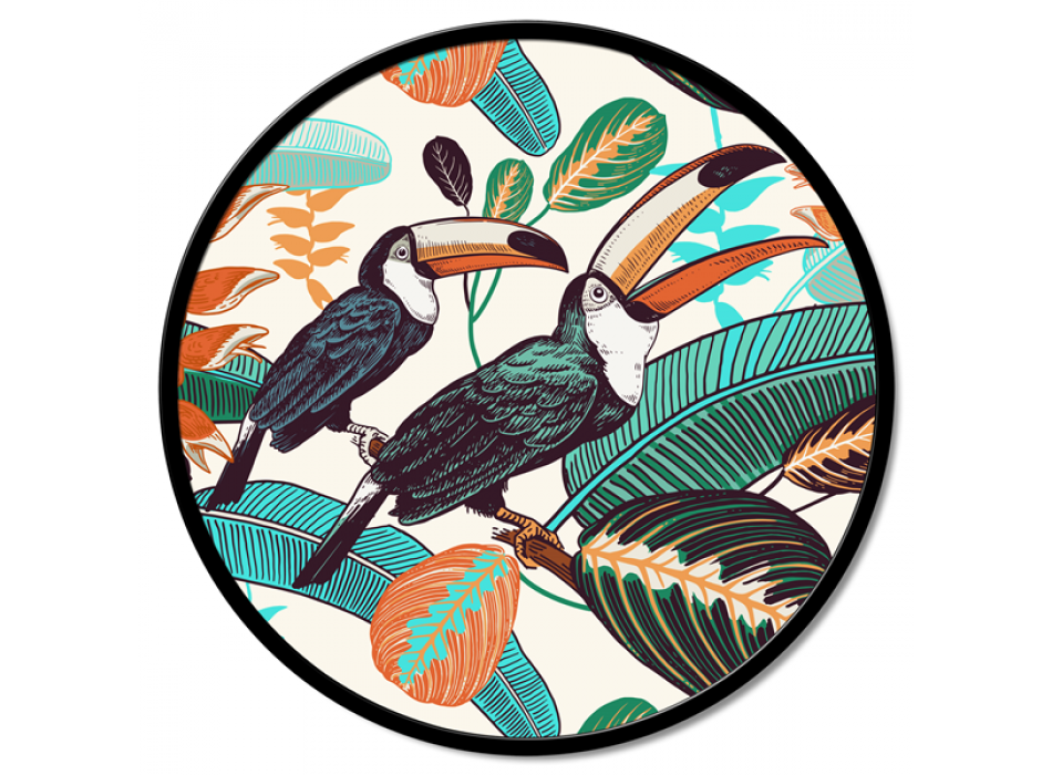 TUCANI GT6248 PINTDECOR malba