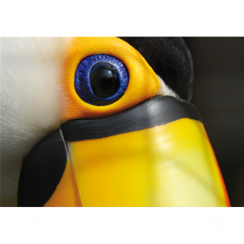 TUCANO G3268 PINTDECOR Lakování