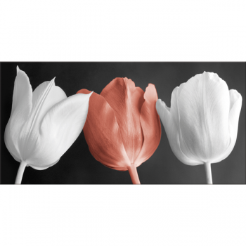 Rámec TULIPÁNY G2520 PINTDECOR