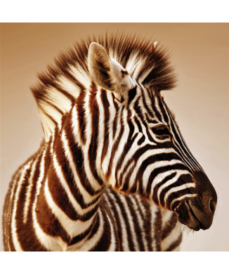 Obraz ZEBRA G2024 PINTDECOR